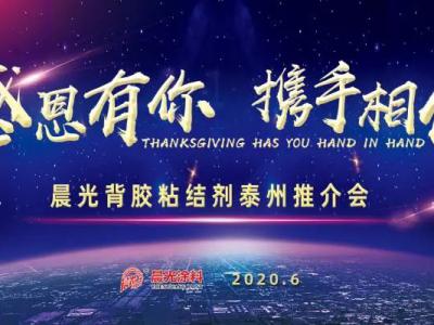 &ldquo;感恩有你 携手相伴&rdquo;，PA视讯在线官网背胶粘结剂泰州推介会圆满举办